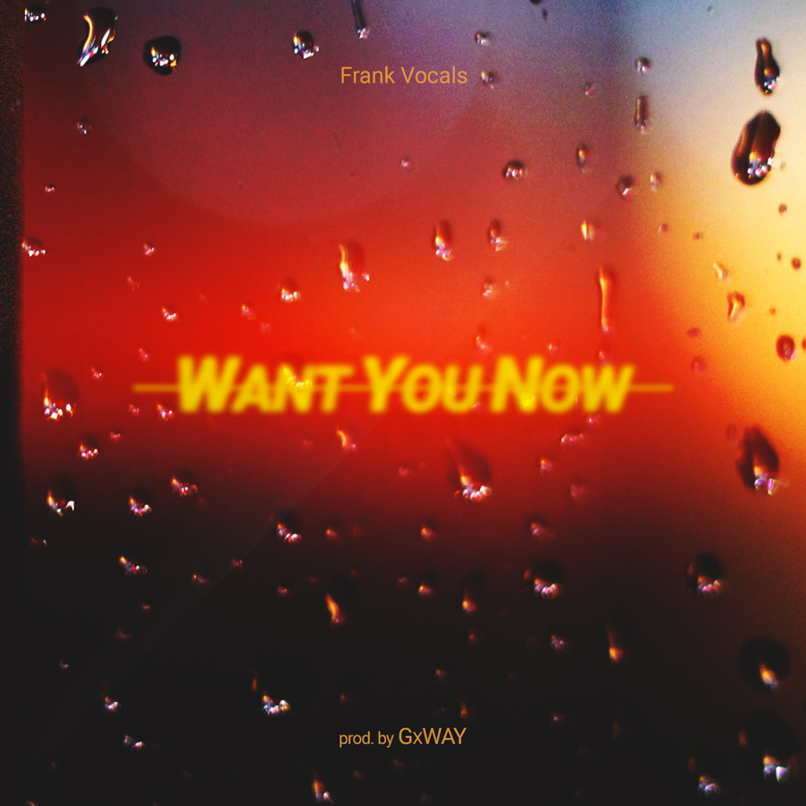 FrankVocals Want-You-Now-Cover900x900